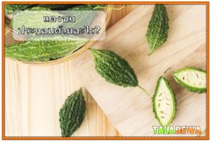 มะระเป็นแหล่งอุดมไปด้วยเส้นใย วิตามิน และแร่ธาตุ