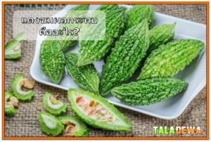 มะระมีผลอะไรบ้าง? - มะระช่วยสนับสนุนการทำงานของตับ