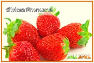 อาหารที่อุดมด้วยไฟเบอร์ที่คุณควรกินทุกวัน - สตรอเบอร์รี่